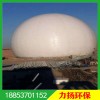 膜式气柜 双膜气柜的材质 沼气储气柜前期土建方案