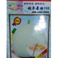 云浮羊角蜜甜瓜苗 早春嫁接甜瓜苗育苗厂