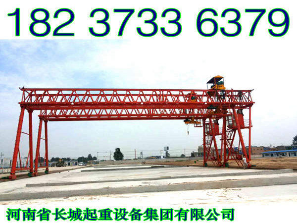 山东潍坊龙门吊厂家5吨-24米