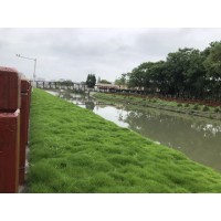 绿化混凝土_生态混凝土_植被混凝土_植生砼_生物基质混凝土