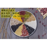 天津进口报关代理公司