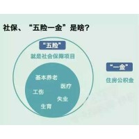 代缴安顺社保，安顺社保外包，安顺社保代办，安顺本地社保机构