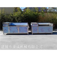 天麻清洗机 圆葱毛刷清洗机 天麻清洗设备