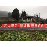眉山墙体广告发布  自贡农村汽车刷墙广告
