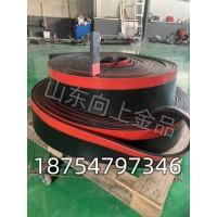 密封Y型防溢裙板价格 导料槽挡煤皮子200*15 皮带机挡边