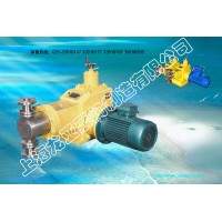 2J-D-2100/1.0双氧水双泵头计量泵