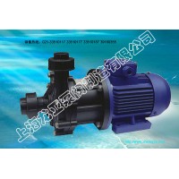 ZCQ50-40-145茴香酸磁力泵