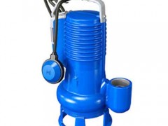 DGBLUEP100意大利泽尼特污水提升泵雨水泵